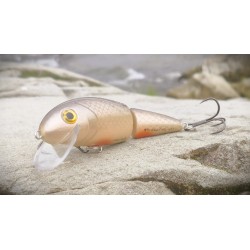 PISKORZ XL, Brzana, 12CM, 30G